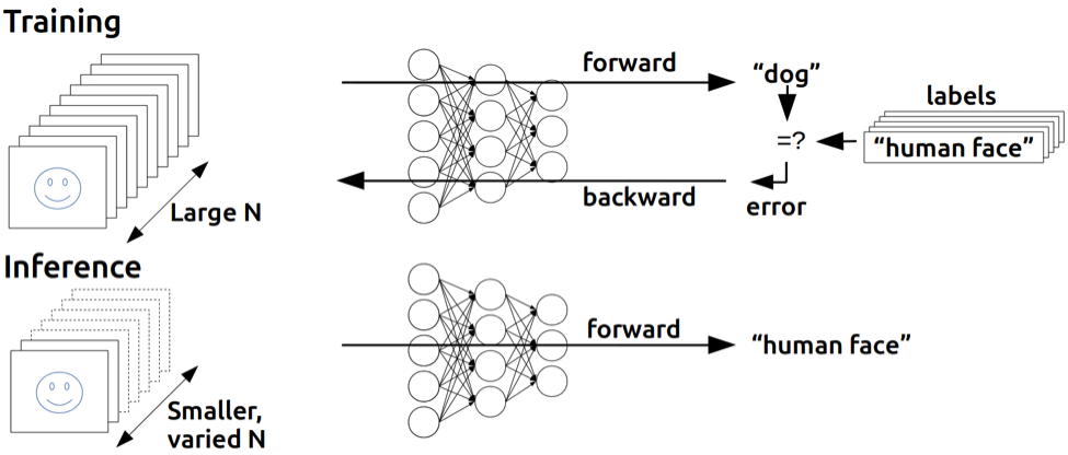 Fig. 2. Training uses multiple inputs in large batches to train a deep neural network, while inference extracts information from new inputs in smaller batches using the trained network [2]